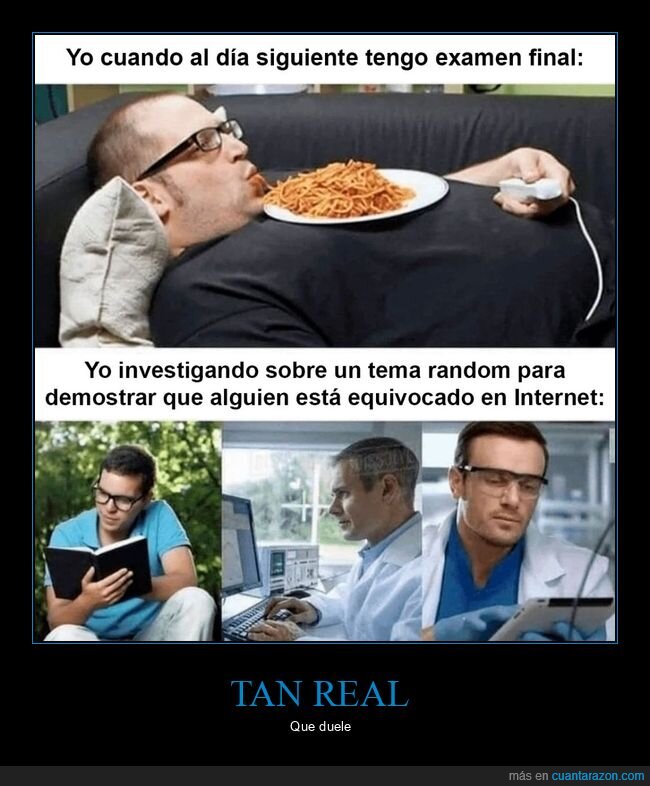 examen,investigando,equivocado,internet