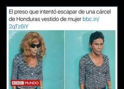 Enlace a Al menos lo intentó...