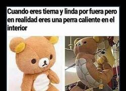Enlace a Doble cara
