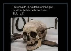 Enlace a ¿De qué pudo morir?