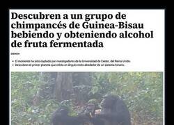 Enlace a Comportamiento sorprendente