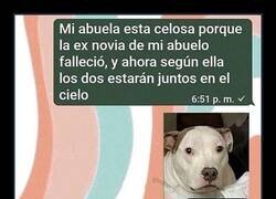 Enlace a Los celos de la abuela