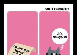 Enlace a Agenda completa