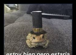 Enlace a Y quién no...