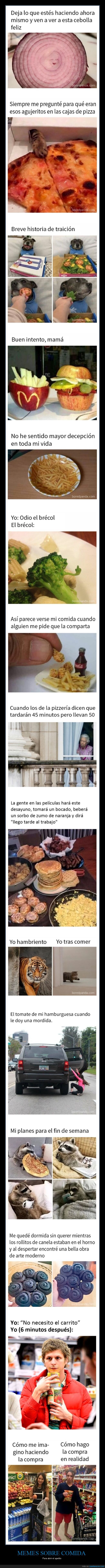memes,comida