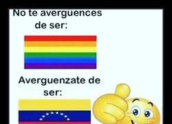Enlace a Nunca te avergüences