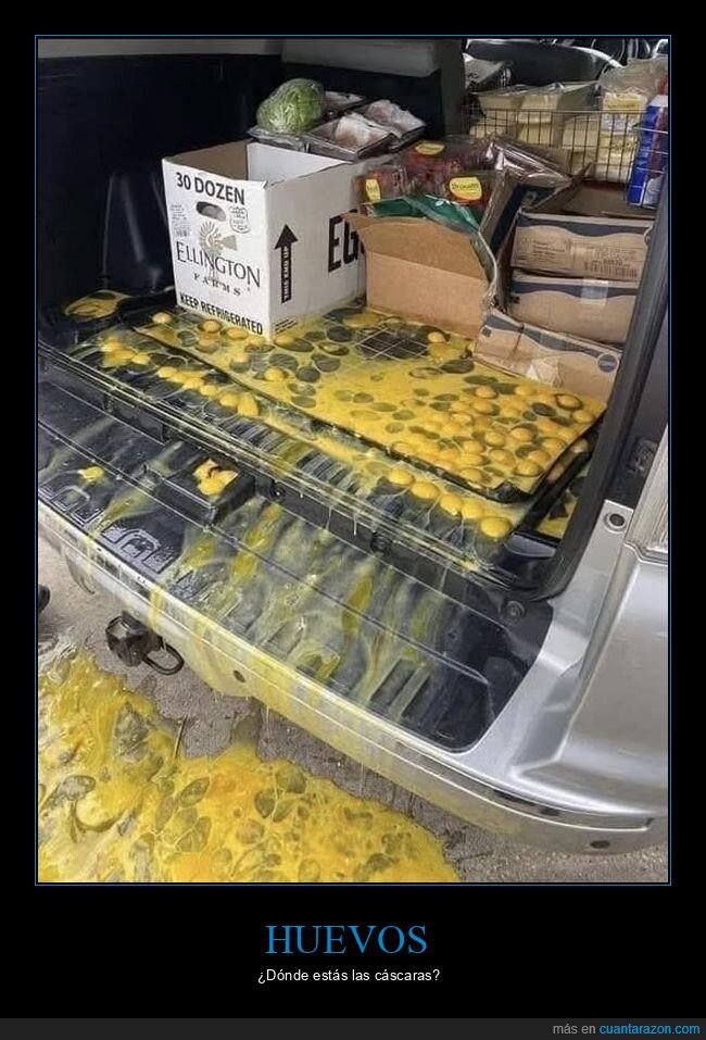 coches,fails,huevos,maletero