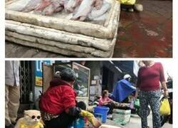 Enlace a Divertidas imágenes del pescadero más molón de Vietnam que triunfa en Internet con sus fotos