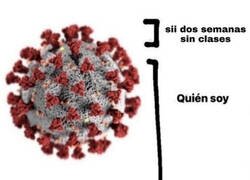 Enlace a Recuerdo pandémico