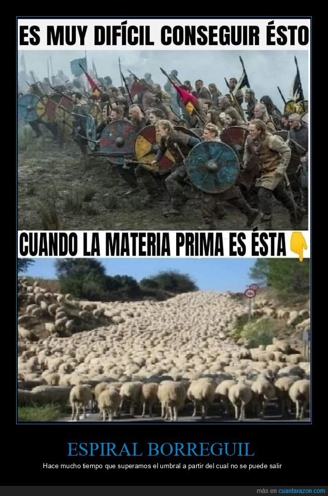 borregos,materia prima