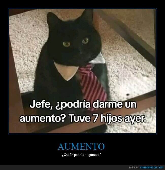 gato,aumento,hijos