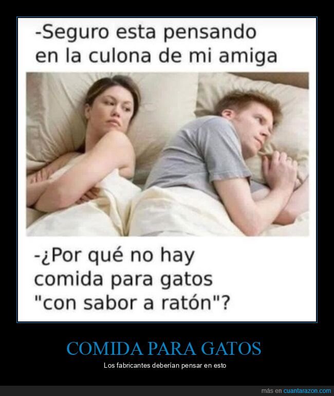 comida para gatos,sabor,ratón,pensando