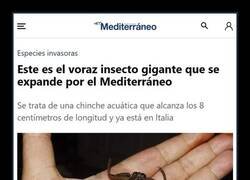 Enlace a Esperemos que no llegue aquí...