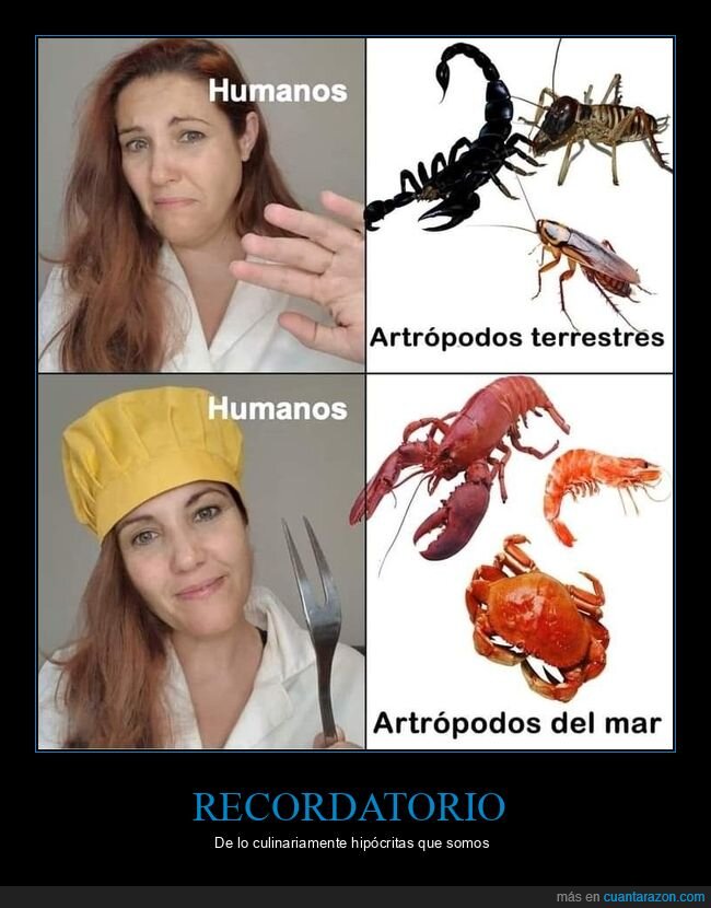 humanos,artrópodos,terrestres,mar