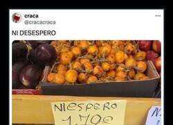 Enlace a Niespero