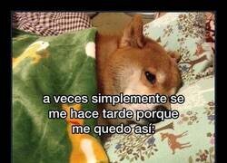 Enlace a Problemas de puntualidad