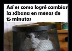 Enlace a La única forma de lograrlo