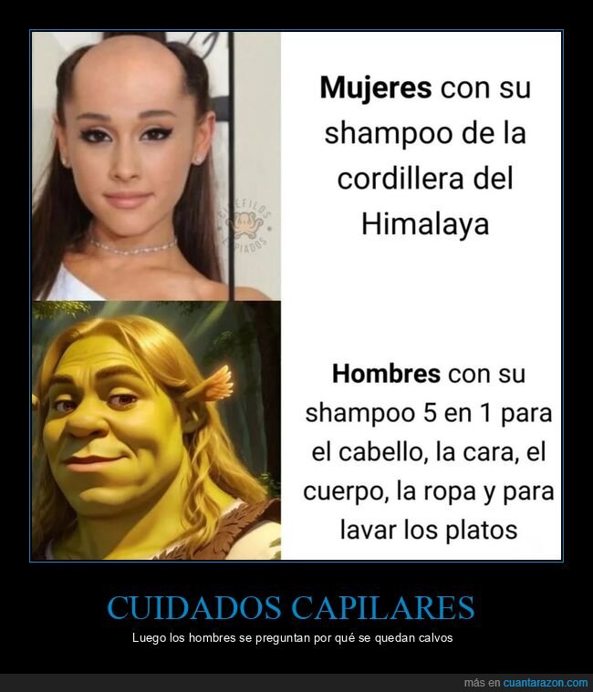 champú,pelo,hombres,mujeres