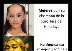 Enlace a Champú multiusos
