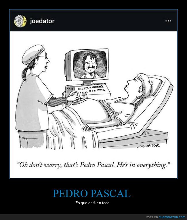 pedro pascal,ecografía