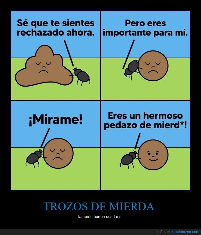 rechazado,importante,escarabajo