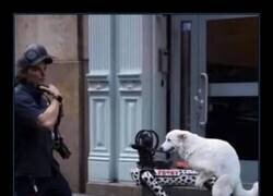 Enlace a El futuro es ahora