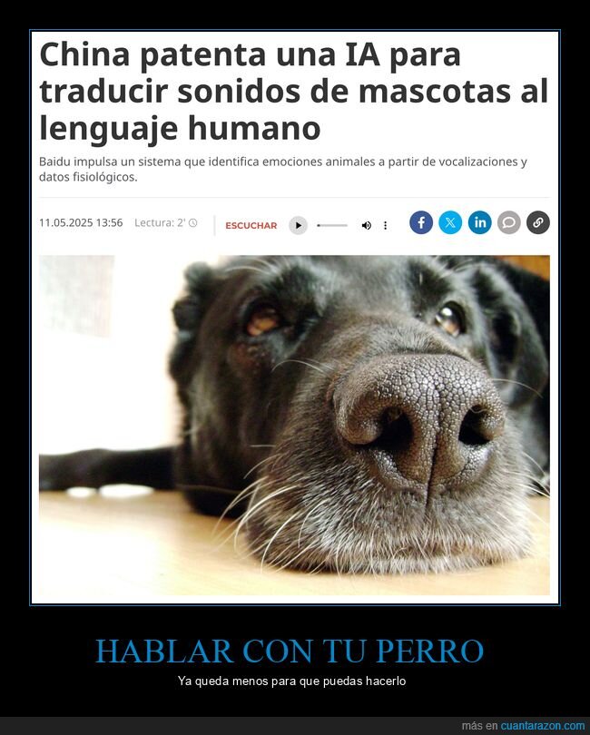 ia,sonidos,mascotas