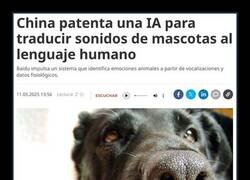 Enlace a El traductor de mascotas ya está aquí