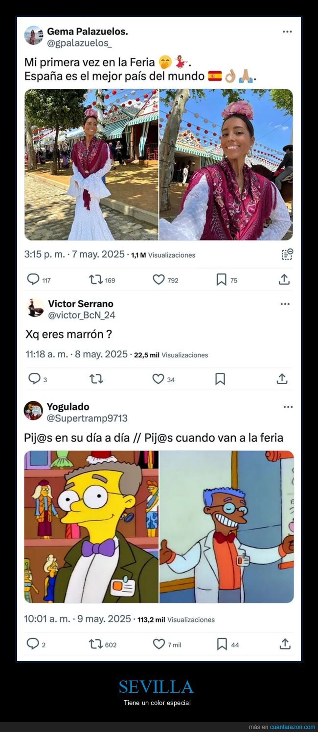 feria de sevilla,marrón,morena