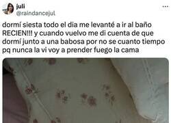 Enlace a Compañía inesperada