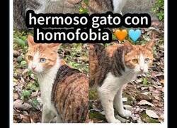 Enlace a Afirmaciones incorrectas muy divertidas que la gente compartió en internet con toda confianza