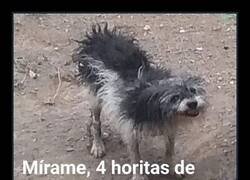 Enlace a Dormir 8 horas está sobrevalorado