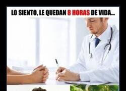 Enlace a ¿Qué harías con tus últimas 8 horas?