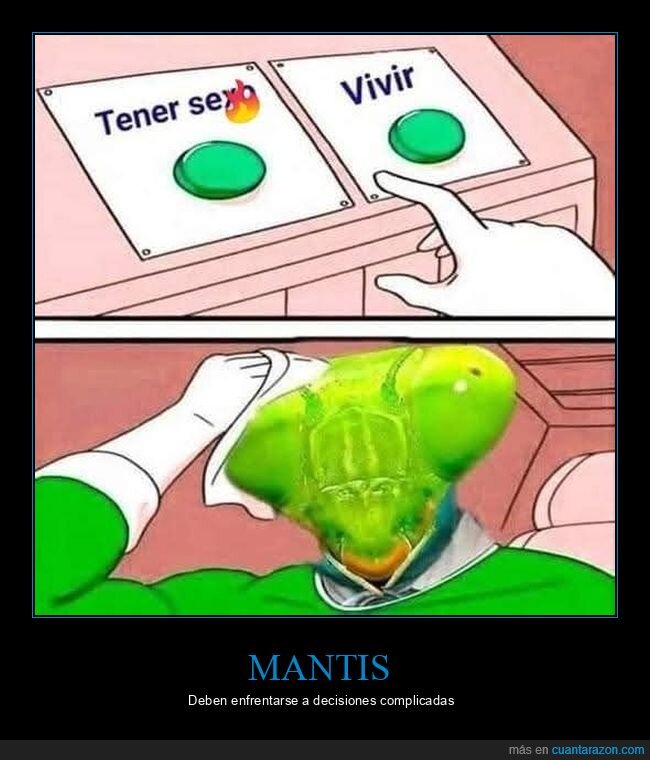 botones,mantis,vivir