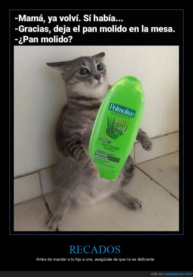 pan molido,palmolive,madre,hijo,recado