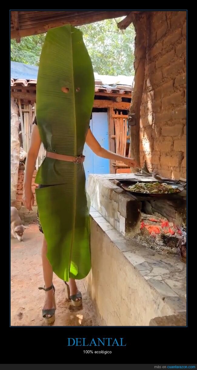 hoja,cocinando,delantal