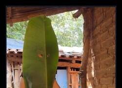 Enlace a Protección integral