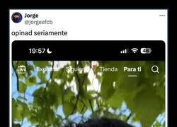 Enlace a Reflexiones tiktokeras