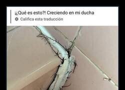 Enlace a Criatura extraña apoderándose del baño