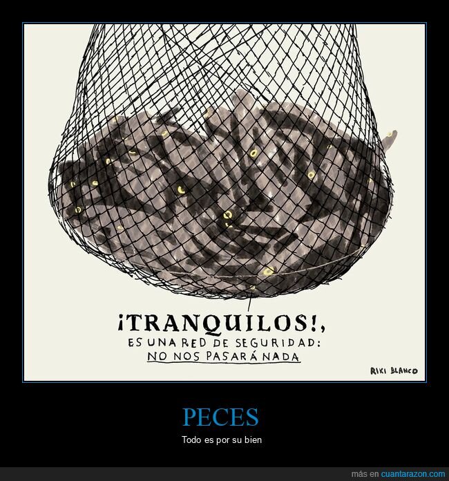 red,peces,seguridad