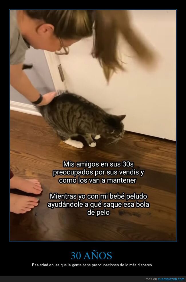30 años,hijos,gatos