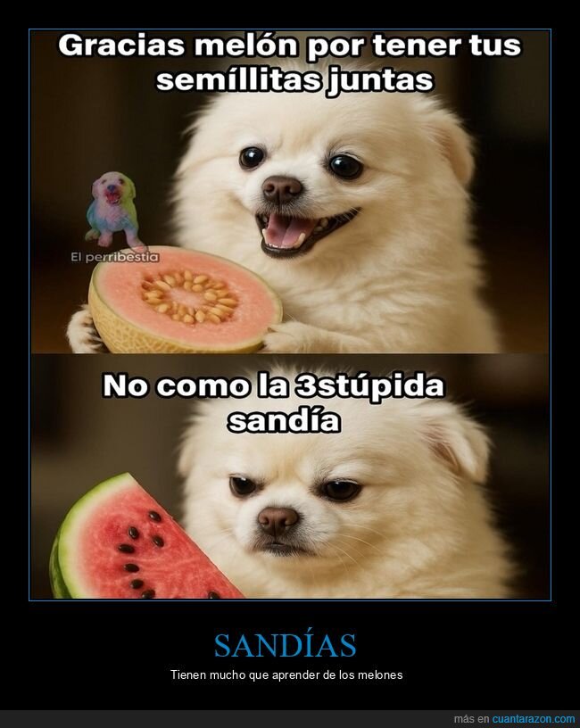 melón,semillas,sandía