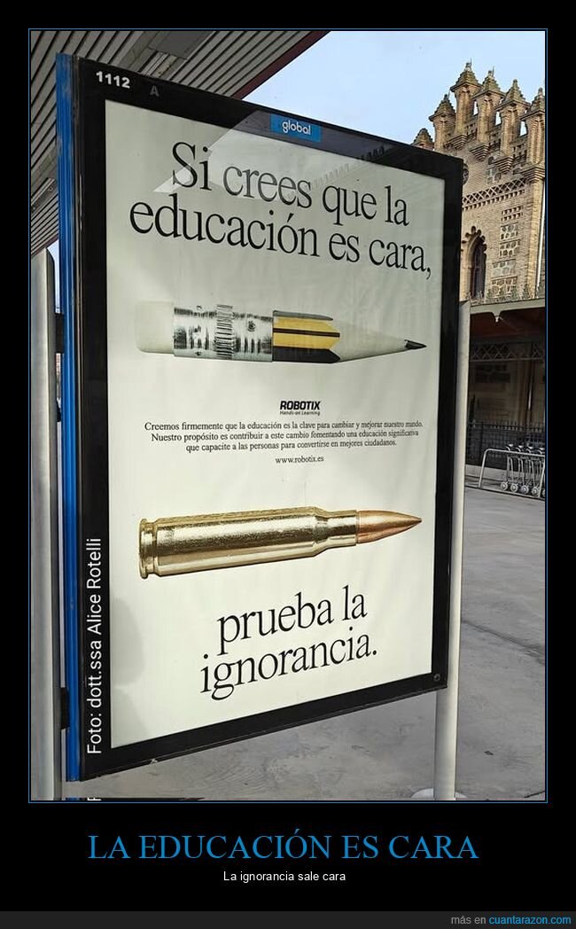 educación,cara,ignorancia