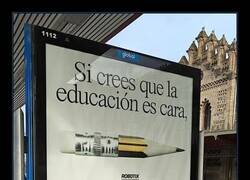 Enlace a El precio de la ignorancia