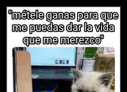 Enlace a Hazlo por él