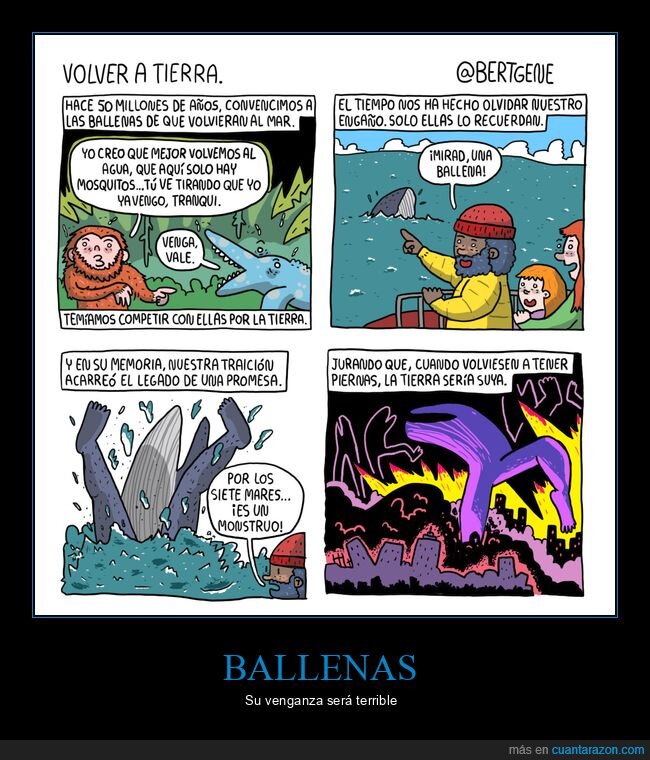 ballenas,mar,piernas