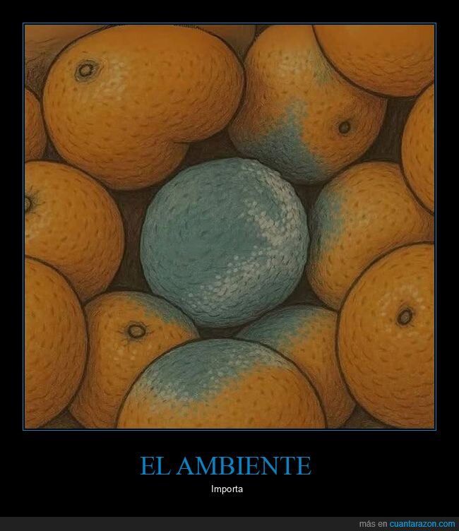 ambiente,importar,naranjas,podridas