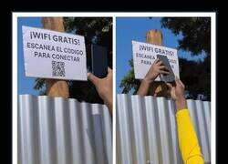 Enlace a Trampa con cebo