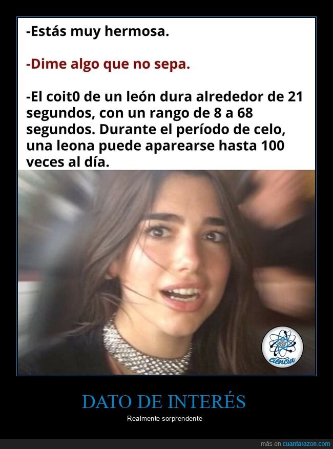 saber,leones