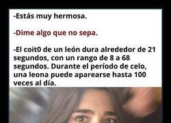 Enlace a Algo que no sepa